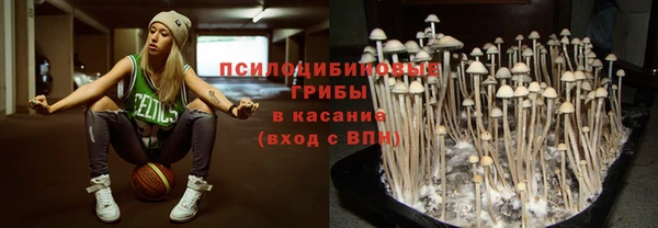 мет Нязепетровск