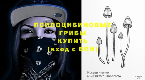 мет Нязепетровск