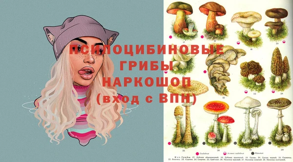 mdma Горняк