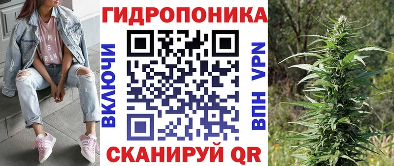 Каннабис план  Полярные Зори 